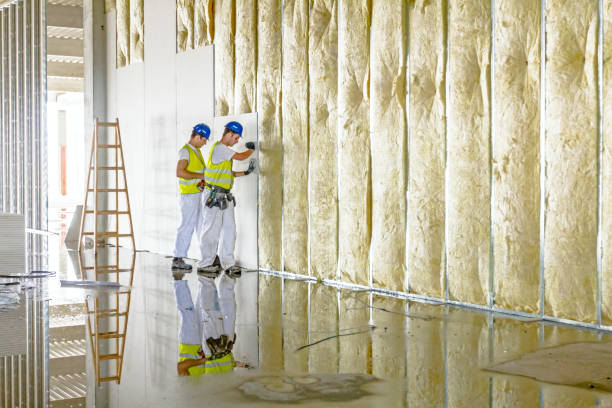 Best Eco-Friendly Insulation in Tremonton, UT